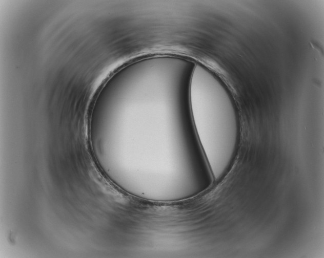X0000102841280200808181016