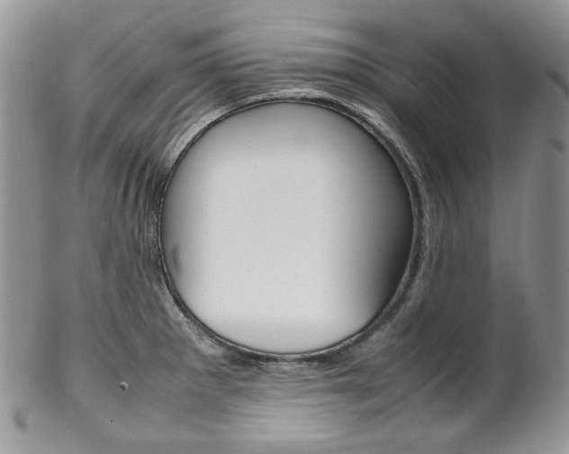 X0000102841281200808181016
