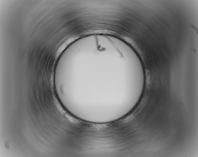 X0000102841282200808181016