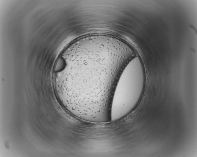 X0000102841283200808181016