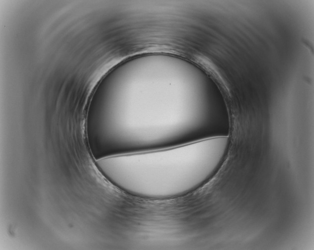 X0000102841284200808181016