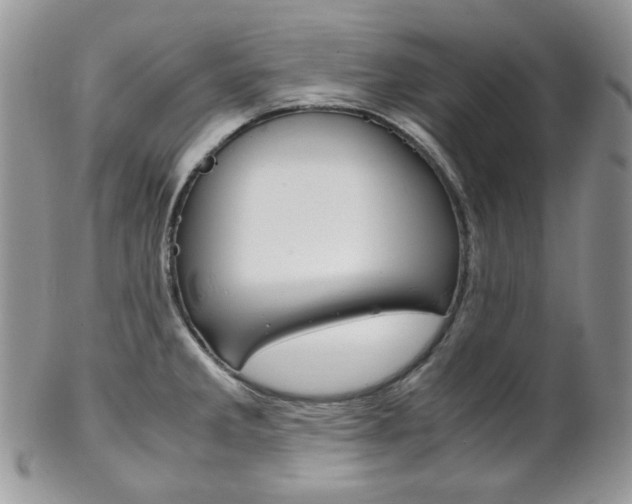 X0000102841285200808181016
