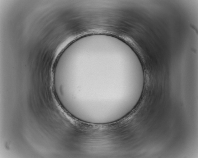 X0000102841286200808181016