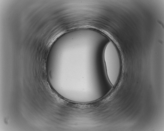 X0000102841289200808181016