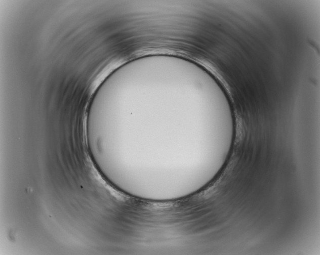 X0000102841290200808181016