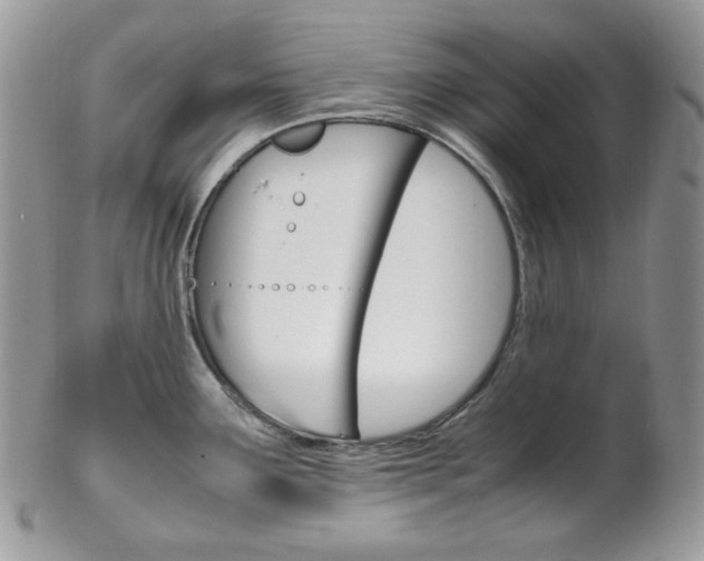 X0000102841291200808181016