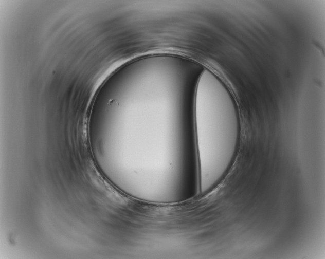 X0000102841292200808181016
