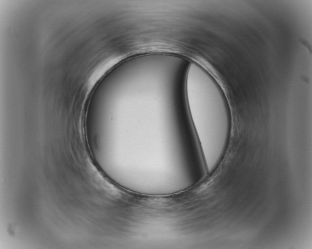 X0000102841293200808181016
