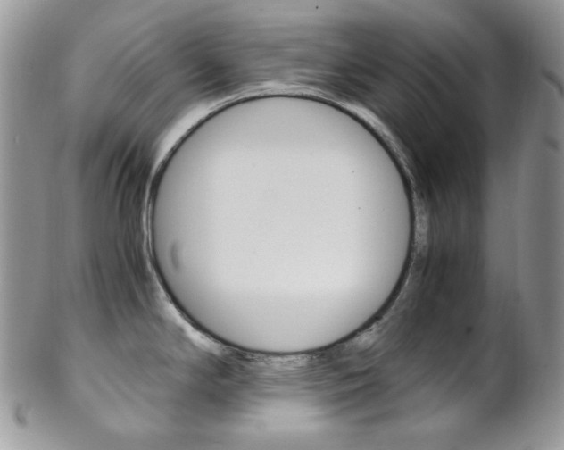 X0000102841294200808181016