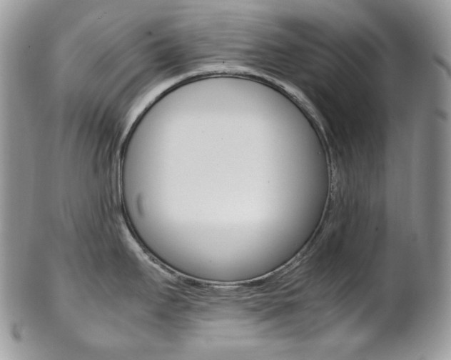 X0000102841295200808181016