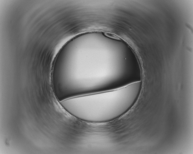 X0000102841296200808181016