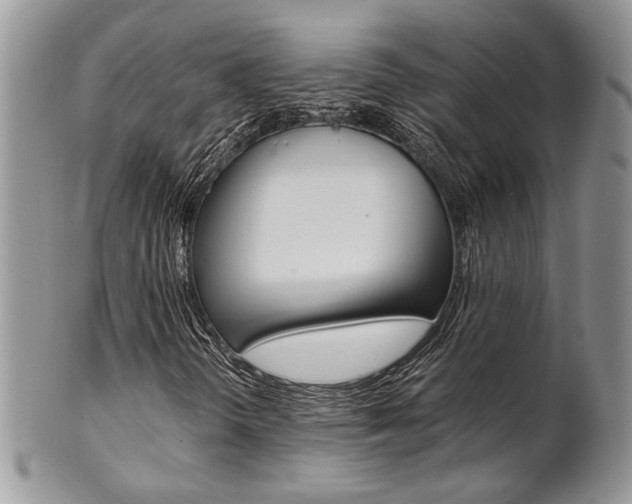 X0000102841298200808181016