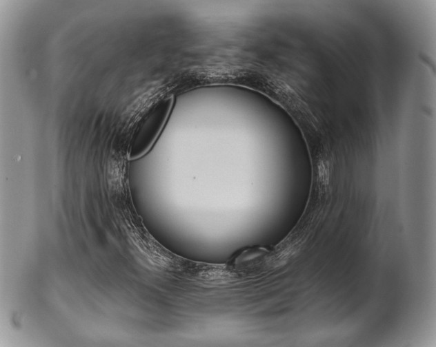 X0000102841300200808181016