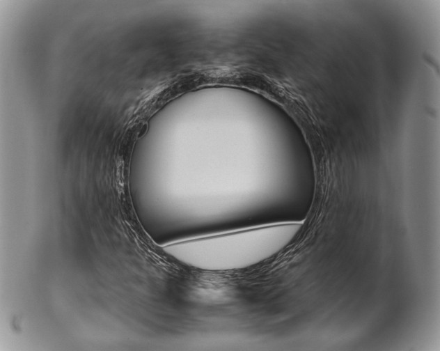 X0000102841301200808181016