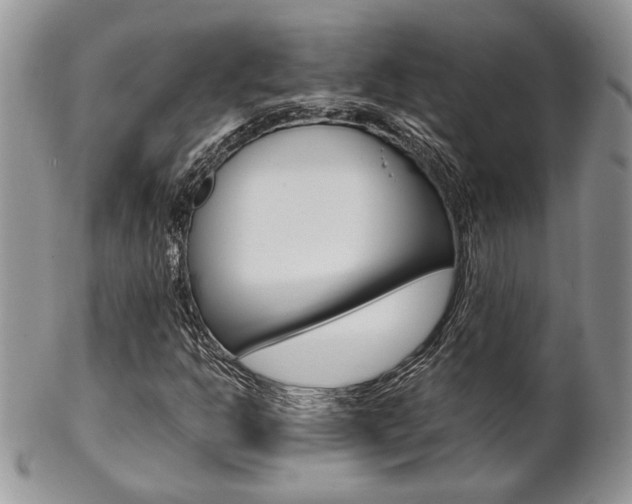 X0000102841302200808181016