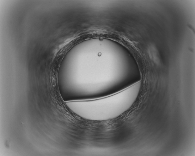 X0000102841303200808181016