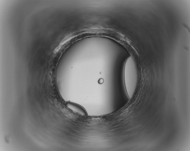 X0000102841304200808181016