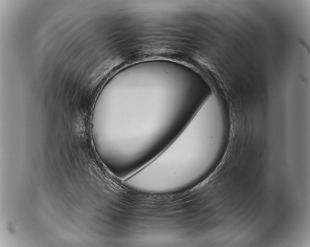 X0000102841305200808181016