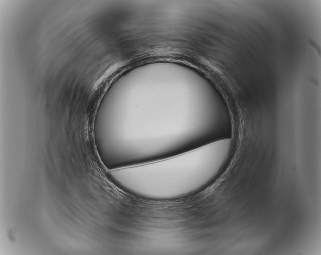 X0000102841306200808181016