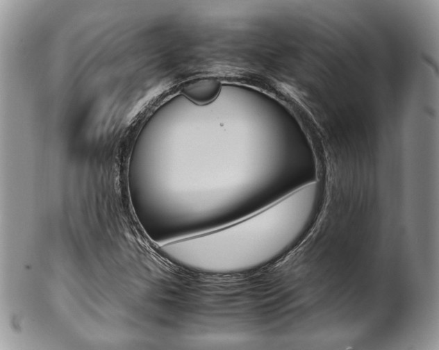 X0000102841307200808181016