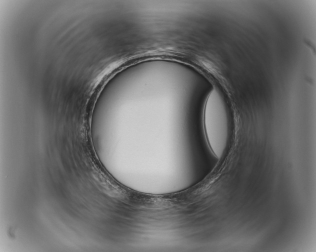 X0000102841308200808181016