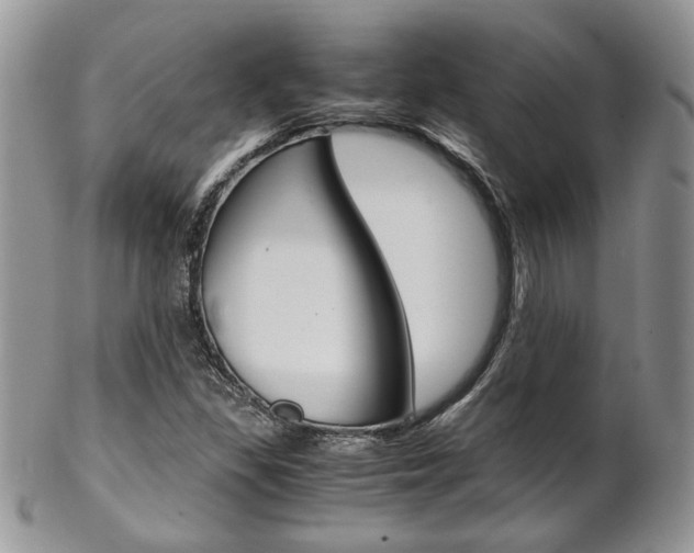 X0000102841309200808181016