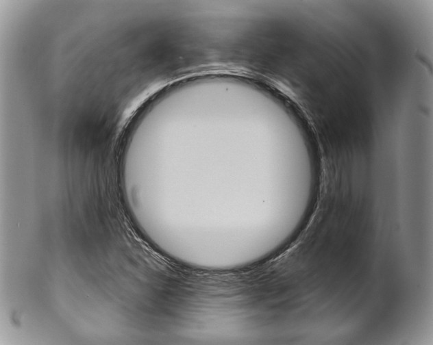 X0000102841310200808181016