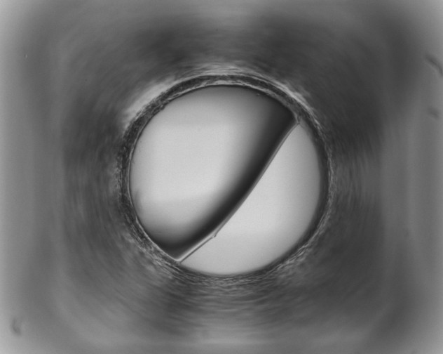 X0000102841311200808181016