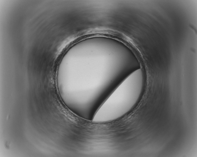 X0000102841312200808181016