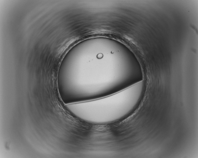 X0000102841313200808181016