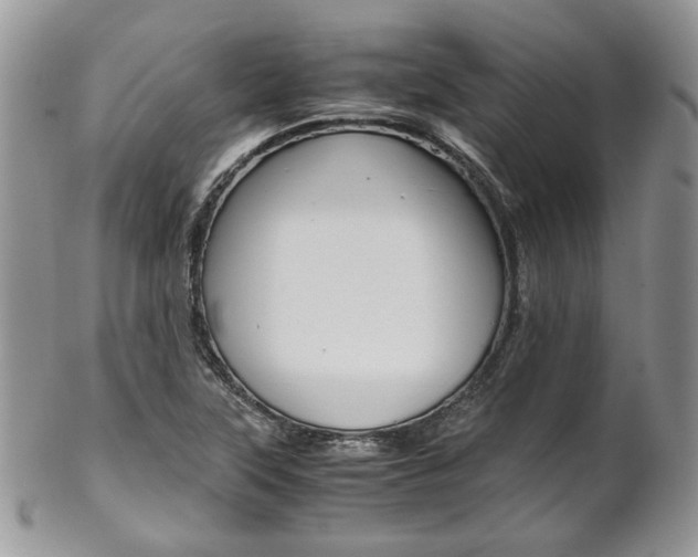 X0000102841315200808181016