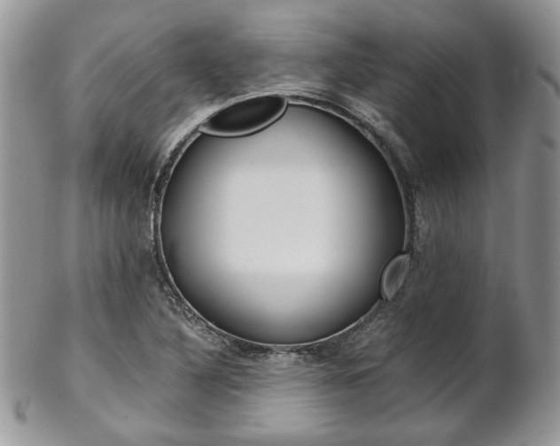 X0000102841316200808181016