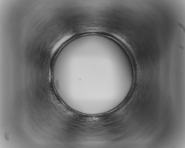 X0000102841317200808181016