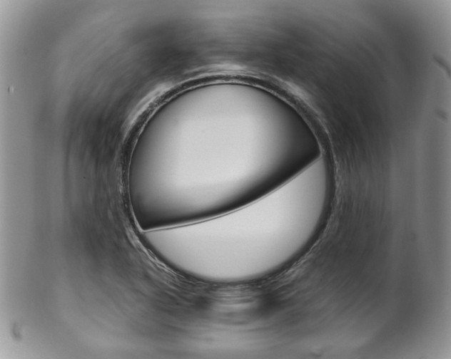 X0000102841318200808181016