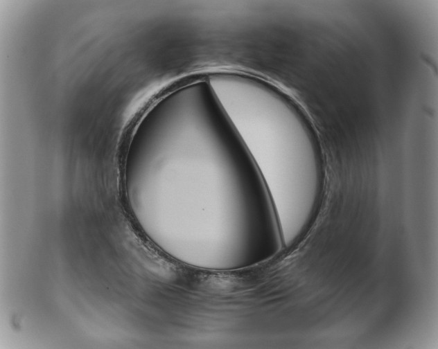 X0000102841319200808181016