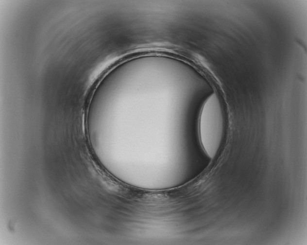 X0000102841320200808181016