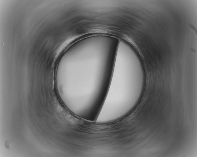 X0000102841323200808181016