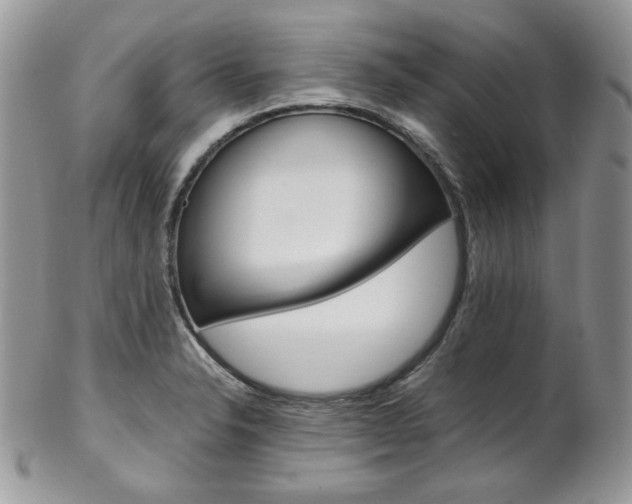 X0000102841326200808181016