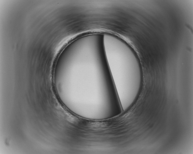 X0000102841327200808181016