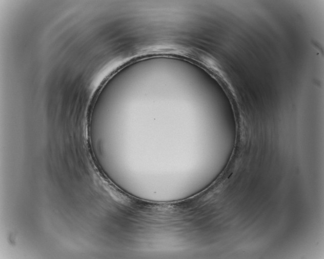 X0000102841328200808181016