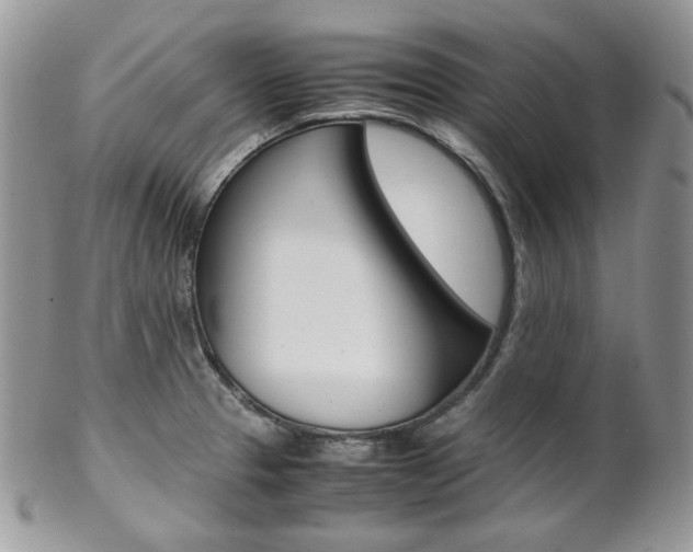 X0000102841329200808181016