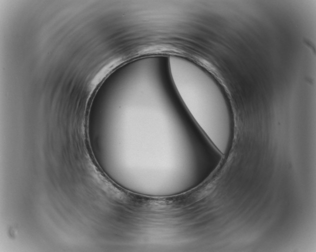 X0000102841330200808181016