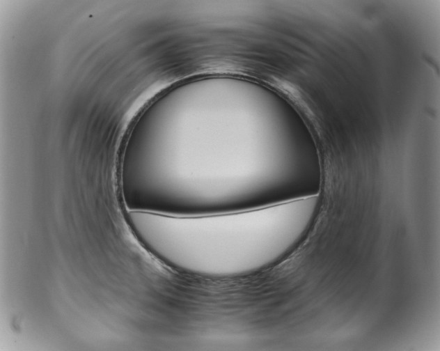 X0000102841331200808181016