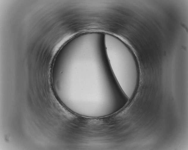 X0000102841333200808181016