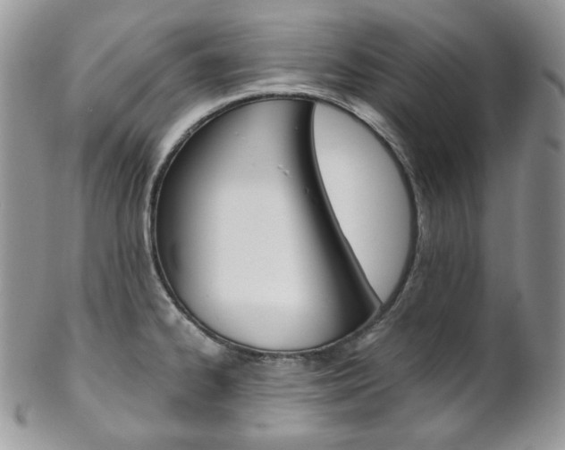 X0000102841334200808181016