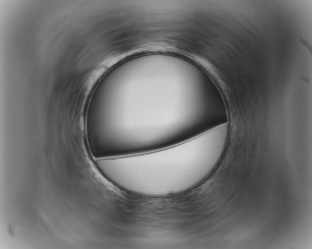 X0000102841335200808181016