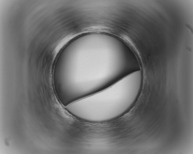 X0000102841336200808181016