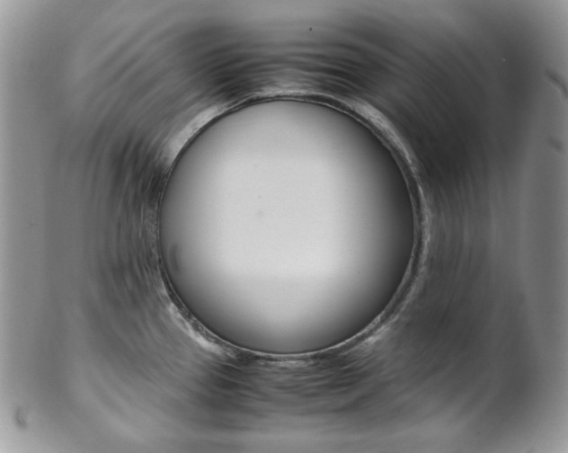 X0000102841337200808181016