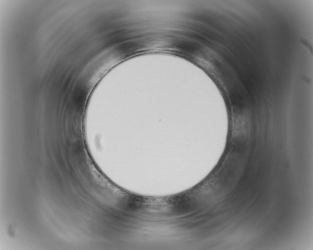 X0000102841338200808181016