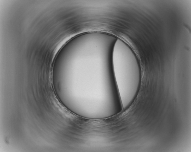 X0000102841340200808181016